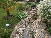 P5240180.webp