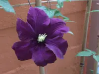 DSCF3840.webp