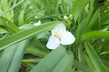 DSCF1072.webp