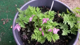 20150524_104600.webp