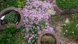 20150524_104609.webp