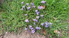 20150524_104747.webp