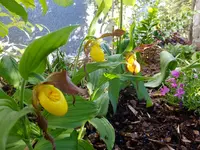 DSCF9681.webp