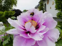 DSCF9459.webp