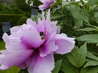 DSCF9473.webp
