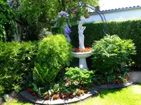 DSCF9527.webp