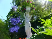 DSCF9530.webp