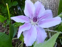 DSCF9546.webp