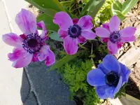 DSCF9549.webp