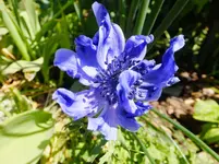 DSCF9552.webp