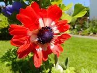 DSCF9553.webp