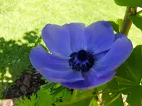 DSCF9561.webp