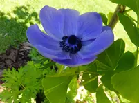 DSCF9562.webp