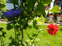 DSCF9566.webp