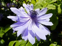 DSCF9569.webp