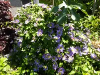 DSCF9570.webp