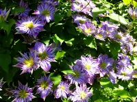 DSCF9574.webp