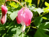 DSCF9577.webp