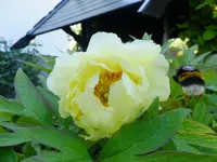 DSCF9615.webp