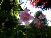 DSCF9712.webp