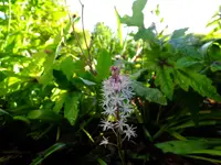 DSCF9716.webp