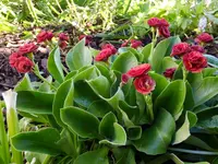 DSCF9729.webp