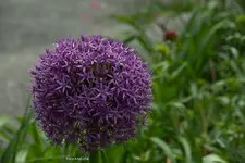 IMG_8155.webp