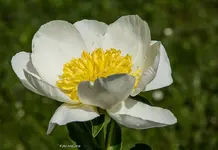 IMG_8187.webp