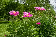 IMG_8191.webp
