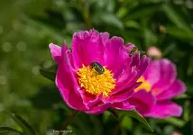 IMG_8192.webp
