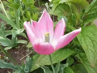 Bilda024.webp