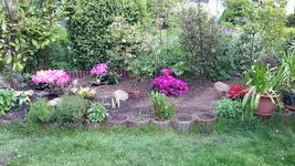 20150525_181151.jpg