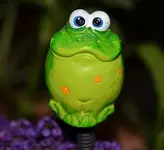 Froschn.webp