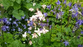 20150525_181031.jpg