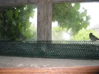 002.webp