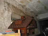 005.webp