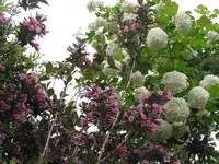 011.webp