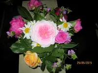 IMG_4663.webp