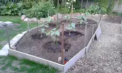 20150525_204041.webp