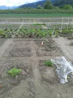 20150525_134944.webp