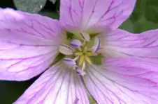 DSC_3730x.webp