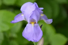 DSC_3839.webp