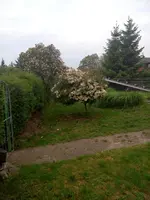 IMG-20150524-WA0006.webp