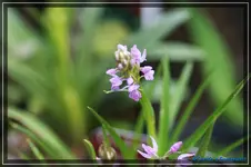 comp_DSC03542.webp