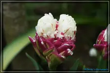 comp_DSC03548.webp