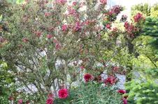 IMG_6417.webp