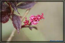 comp_DSC03547.webp