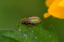 DSC_3298a.webp