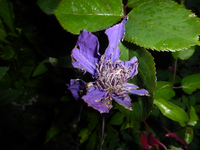 P1380203.webp