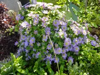 DSCF9787.jpg